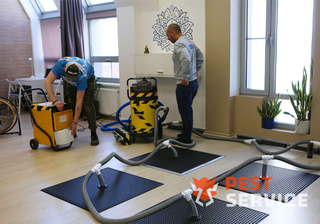 Профессиональная сушка после потопа в Красногорске от 3000 руб. Быстро устраняем влагу, предотвращаем плесень и повреждения. Современное оборудование и опытные специалисты. Безопасно и эффективно.